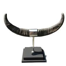 horn-articles06